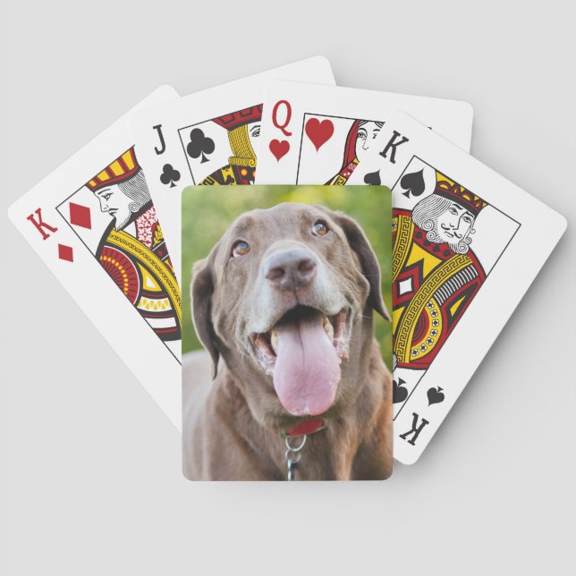 Baraja De Cartas Chocolate Labrador Dog (Reverso)