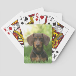 Baraja De Cartas Chocolate y Tan Dachshund - Doxie Dog