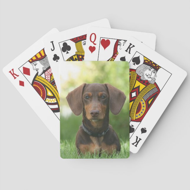Baraja De Cartas Chocolate y Tan Dachshund - Doxie Dog (Reverso)