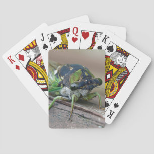 Baraja De Cartas Cicada