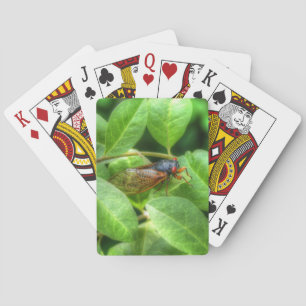 Baraja De Cartas Cicata de ojos rojos
