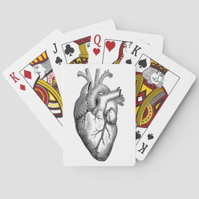 Baraja De Cartas Ciencia de anatomía cardíaca (Reverso)