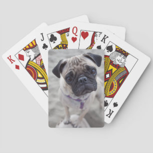 Baraja De Cartas Cierre de Pug