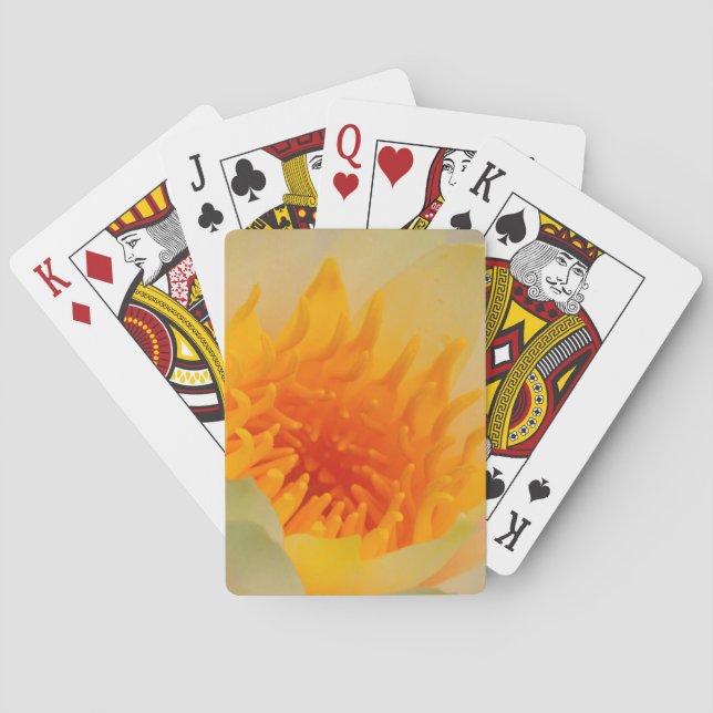 Baraja De Cartas Cierre De Un Lirio De Agua (Reverso)