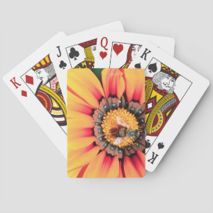 Baraja De Cartas Cierre Extremo De Un Polen Colectivo De Abejas