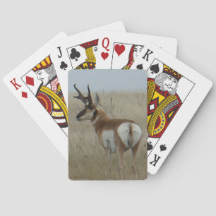 Baraja De Cartas Ciervo berrendo macho A22