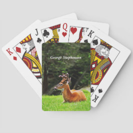 Baraja De Cartas Ciervo en pradera arbolada Personalizar
