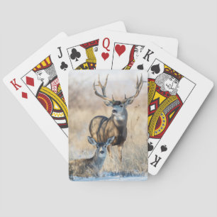 Baraja De Cartas Ciervo Mula Macho y Hembra