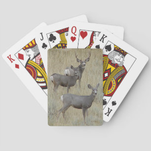 Baraja De Cartas Ciervo Mulo D18