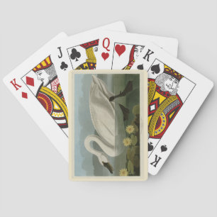 Baraja De Cartas Cisne común estadounidense - Los pájaros de los Es
