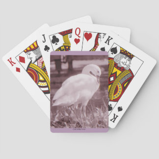 Baraja De Cartas Cisne de Coscoroba