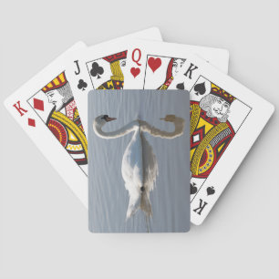Baraja De Cartas Cisne mudo