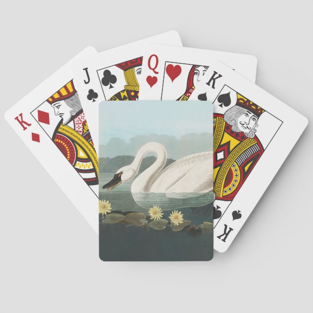 Baraja De Cartas cisnes de agua blanca de cisne audubon (Reverso)