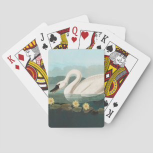 Baraja De Cartas cisnes de agua blanca de cisne audubon