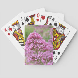 Baraja De Cartas Clavelito de mar