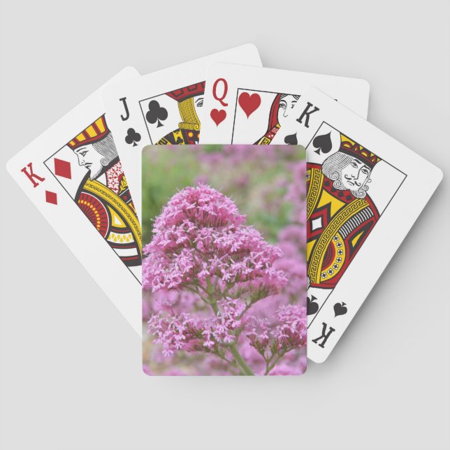 Baraja De Cartas Clavelito de mar (Reverso)