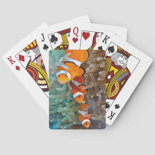 Baraja De Cartas Clownfish (Reverso)