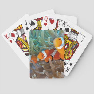 Baraja De Cartas Clownfish