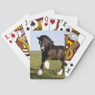 Baraja De Cartas Clydesdale Horse