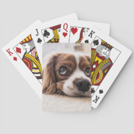 Baraja De Cartas Cocker Spaniel Dog de ojos tristes