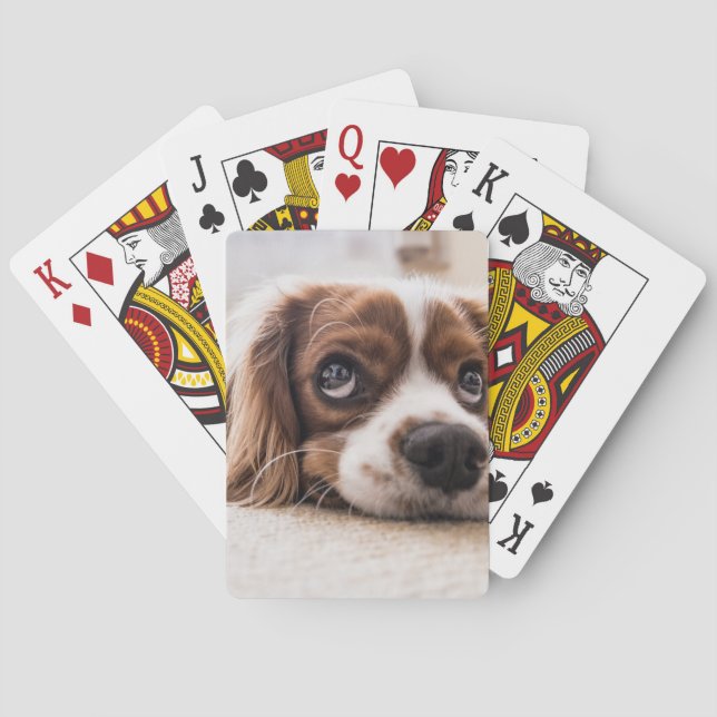 Baraja De Cartas Cocker Spaniel Dog de ojos tristes (Reverso)