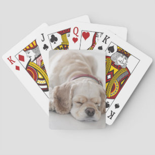 Baraja De Cartas Cocker spaniel dog sleeping