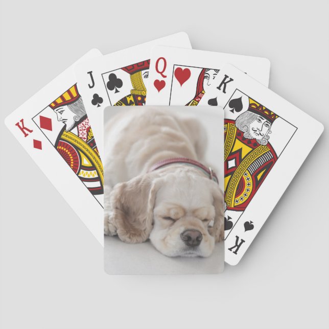Baraja De Cartas Cocker spaniel dog sleeping (Reverso)