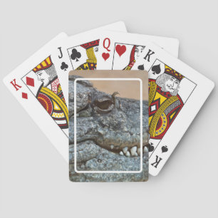 Baraja De Cartas Cocodrilo