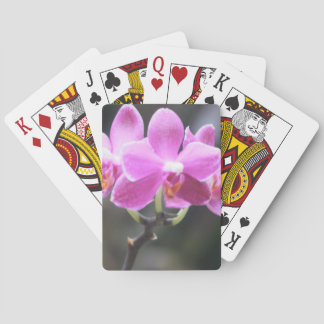 Baraja De Cartas Colección floral