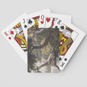 Baraja De Cartas Colector mexicano del lagarto, grabado por Matthew