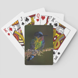 Baraja De Cartas Colibrí
