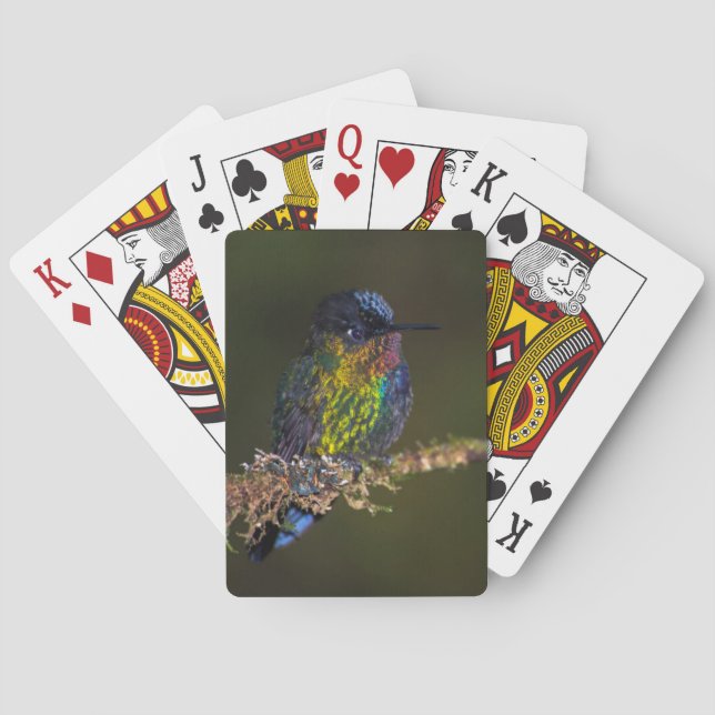 Baraja De Cartas Colibrí (Reverso)
