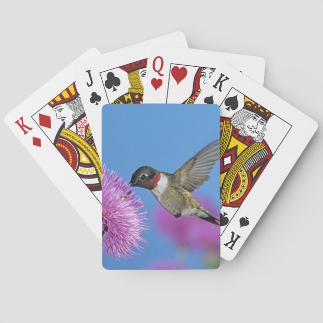Baraja De Cartas Colibrí de garganta rubí (Reverso)