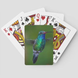 Baraja De Cartas Colibrí flotante