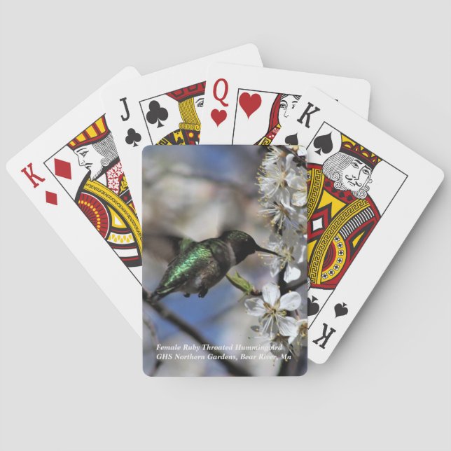 Baraja De Cartas Colibrí Throated de rubíes femenino (Reverso)
