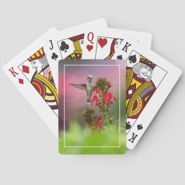 Baraja De Cartas Colibrí y Flor de Cardenal (Reverso)
