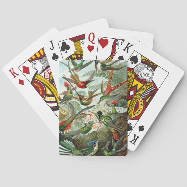 Baraja De Cartas Colibríes de Ernst Haeckel, aves vitícolas (Reverso)