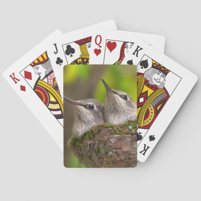 Baraja De Cartas Colibríes del bebé (Reverso)