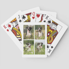 Baraja De Cartas Collage de fotos personalizadas de perros