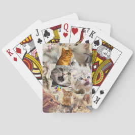 Baraja De Cartas Collage de gatos y juguetes