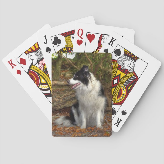 Baraja De Cartas Collie en el bosque (Reverso)