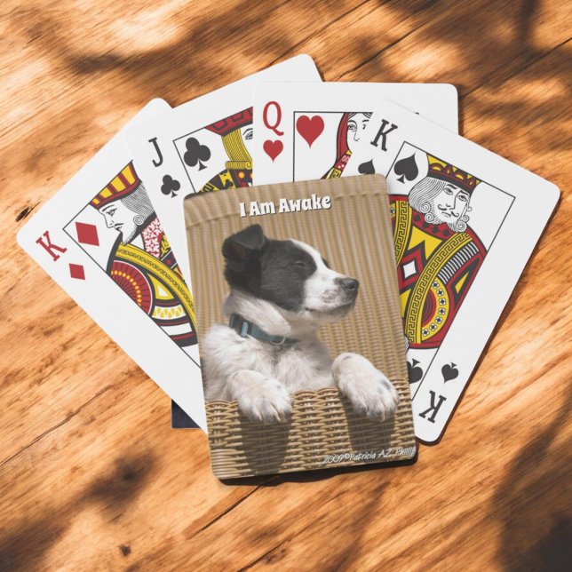 Baraja De Cartas Collie Heeler Adorable Border Sleeppy (Sleeping puppy playing cards)