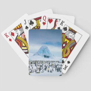 Baraja De Cartas Colonia del pingüino de emperador