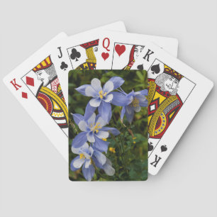Baraja De Cartas Colorado Blue Columbine cerca de Telluride Colorad