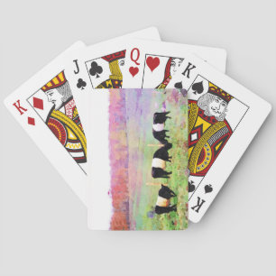Baraja De Cartas Colores de agua de vaca Beltie para ganado gallowa