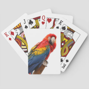 Baraja De Cartas Colorida Moda de Macao Clásico Mod Tropical