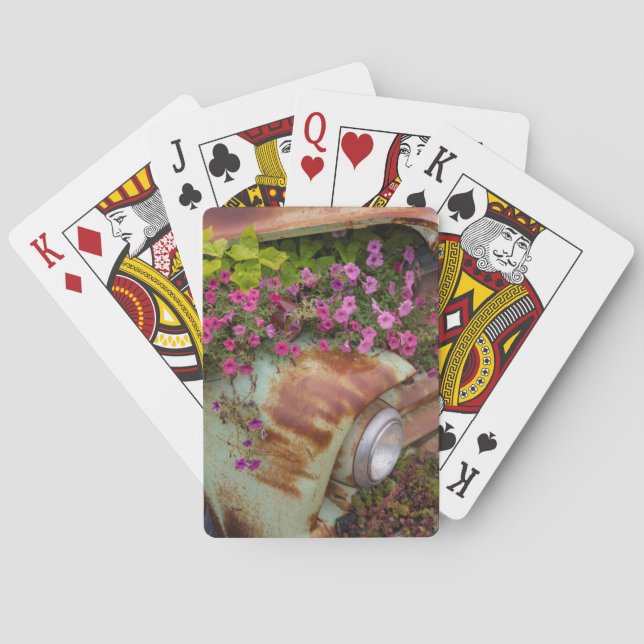 Baraja De Cartas Columbia Falls (Reverso)