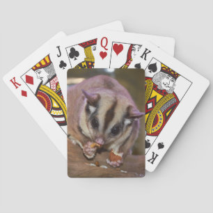 Baraja De Cartas Comer con azucarador Mascota