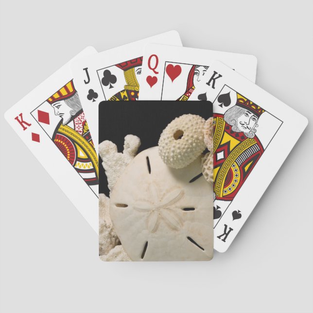 Baraja De Cartas Conchas Blancas y Dólar de Arena (Reverso)