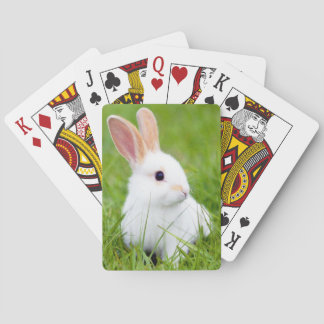 Baraja De Cartas Conejo blanco